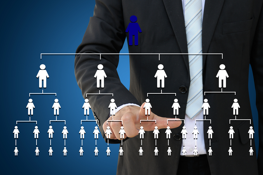 Business hand touching organization chart